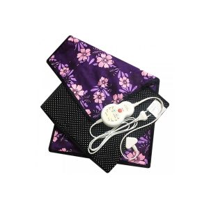 تشک برقی شنی ایرداکتر مدل HP3000B